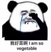 我好菜啊 I am so vegetable(熊猫头)