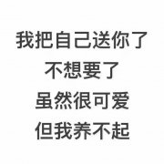 我把自己送你了，不想要了，虽然很可爱，但我养不起