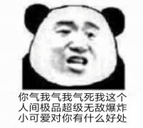 气我气我气死我这个人间极品超级无敌爆炸小可爱对你有什么好处