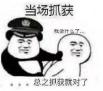 当场抓获我做什么了。总之抓获就对了