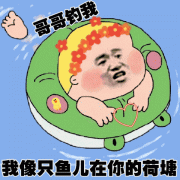 哥哥钓我，我像只鱼儿在你的荷塘