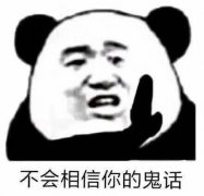 不会相信你的鬼话(熊猫头)