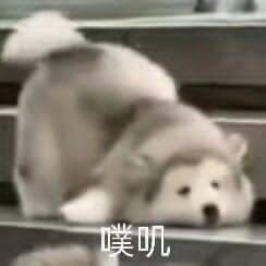 轻松一刻:单身女生的跨年准备动作,没眼看啊! 轻松一刻:单身女生的跨年准备动作,没眼看啊!