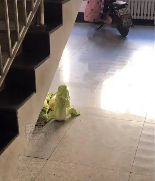 轻松一刻:单身女生的跨年准备动作,没眼看啊! 轻松一刻:单身女生的跨年准备动作,没眼看啊!
