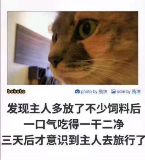轻松一刻:单身女生的跨年准备动作,没眼看啊! 轻松一刻:单身女生的跨年准备动作,没眼看啊!