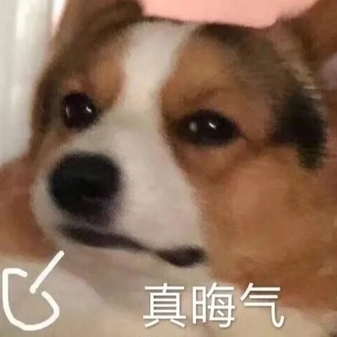 轻松一刻:单身女生的跨年准备动作,没眼看啊! 轻松一刻:单身女生的跨年准备动作,没眼看啊!