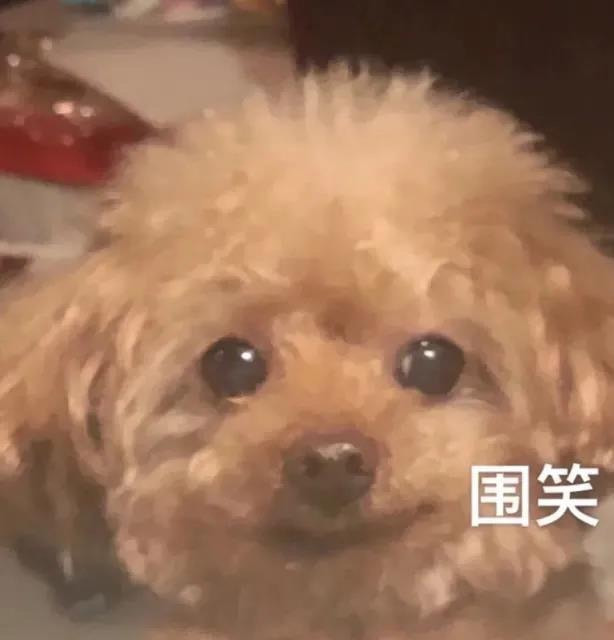 轻松一刻:单身女生的跨年准备动作,没眼看啊! 轻松一刻:单身女生的跨年准备动作,没眼看啊!