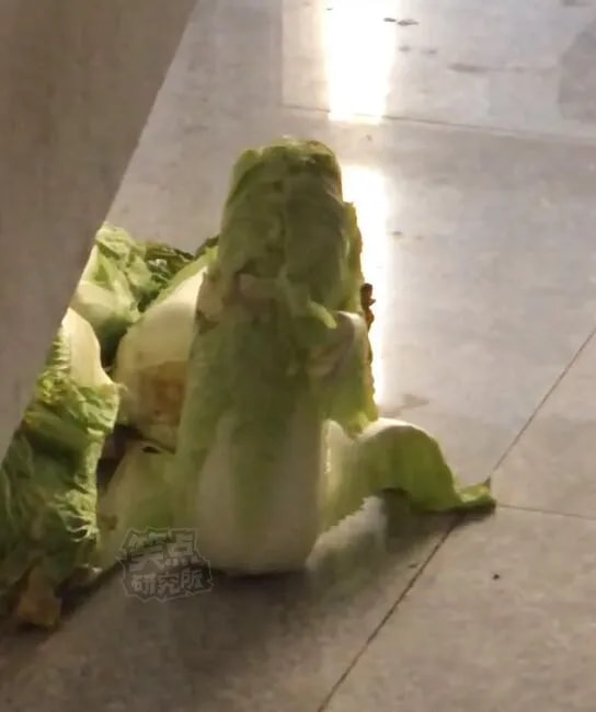 轻松一刻:单身女生的跨年准备动作,没眼看啊! 轻松一刻:单身女生的跨年准备动作,没眼看啊!