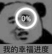 我的幸福进度0%