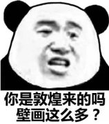 你是敦煌来的吗，壁画这么多？（熊猫头怼人表情包）