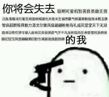 你将会失去可爱聪明机智善良无畏...的我