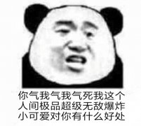 你气我气我气死我这个人间极品超级无敌爆炸小可爱对你有什么好处(熊猫头)