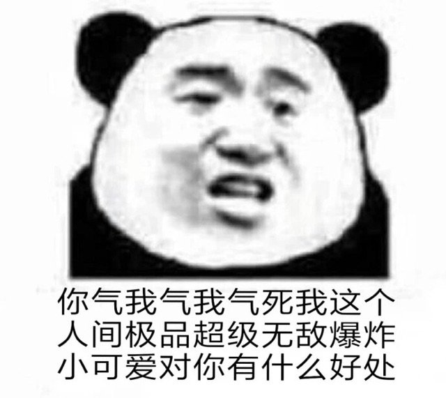 你气我气我气死我这个人间极品超级无敌爆炸小可爱对你有什么好处(熊猫头)