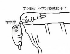 学习吗？不学习我就松手了！学学学