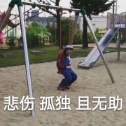 悲伤 孤独 且无助（独自荡秋千）