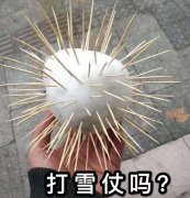 打雪仗吗？（插满牙签的雪球）