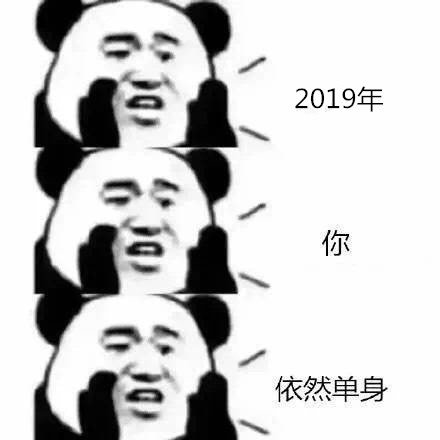 2019年，你，依然单身