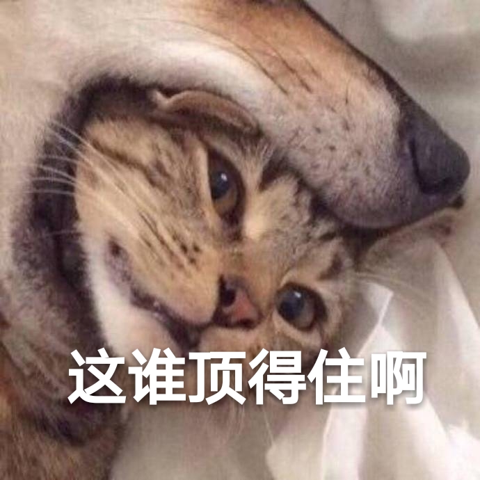 这谁顶得住啊