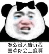 怎么没人告诉我喜欢你会上瘾啊