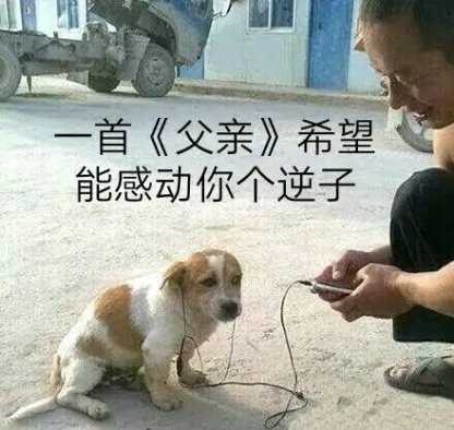 首《父亲》希望能感动你个逆子(给狗子听音乐)