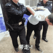 带走!(警察扣押犯人动图)