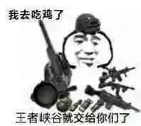我去吃鸡了 王者峡谷就交给你们了