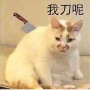 我刀呢(猫咪)