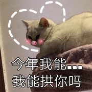 今年我能拱你吗（猪年）