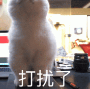 打扰了(猫咪后退GIF)