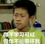 你不学习可以，但你不能带坏我（《家有儿女》刘星）