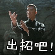 出招吧!(甄子丹比武 GIF 动图)