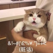 &!~#2%￥”]=(脏话)(猫咪)