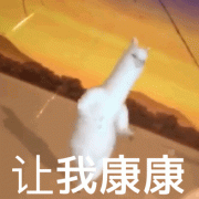 让我看看 让我康康（沙雕羊驼 GIF 动图）