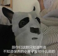 跟你们这群只知道熬夜不知道保养的小崽子没可什么说的(狗子敷面膜)