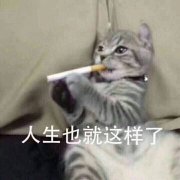 人生也就这样了（猫咪抽烟）