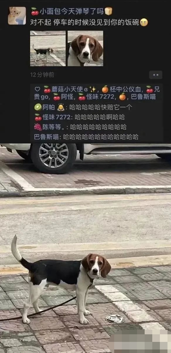 轻松一刻:我发的不是钱,我发的是情! 轻松一刻:我发的不是钱,我发的是情!