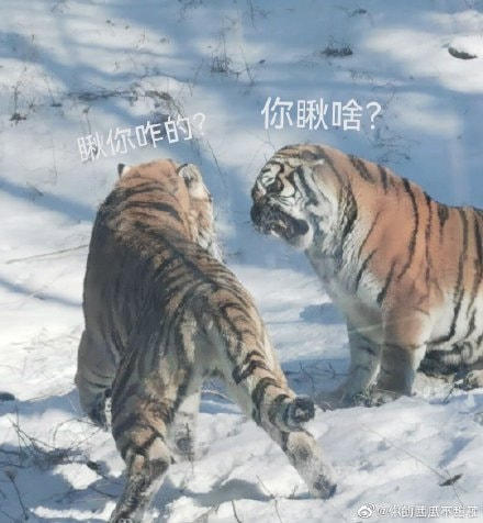 轻松一刻:据说脱了bra和胖次,2022就没有凶兆和苦头? 轻松一刻:据说脱了bra和胖次,2022就没有凶兆和苦头?