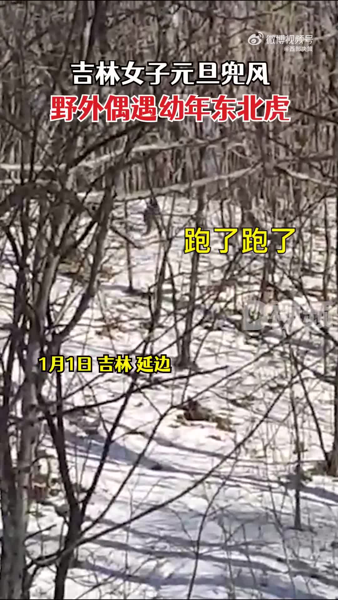 轻松一刻:据说脱了bra和胖次，2022就没有凶兆和苦头？