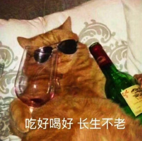 轻松一刻:这种玩法我见过,主人的任务罢了 轻松一刻:这种玩法我见过,主人的任务罢了