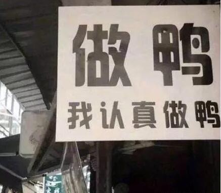 轻松一刻:这种玩法我见过,主人的任务罢了 轻松一刻:这种玩法我见过,主人的任务罢了