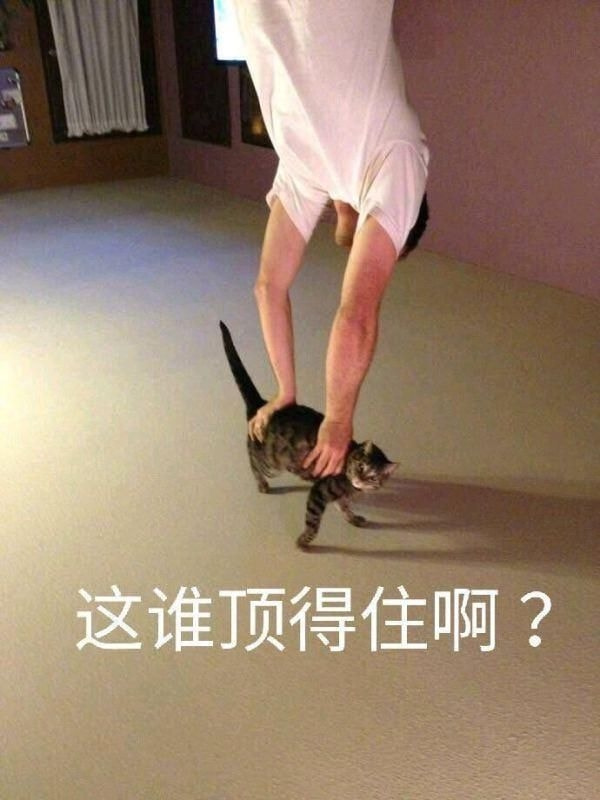 轻松一刻:这种玩法我见过,主人的任务罢了 轻松一刻:这种玩法我见过,主人的任务罢了
