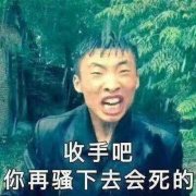 收手吧，你再骚下去会死的