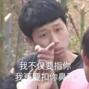 我不仅要指你，我还要扣你鼻孔（王境泽）