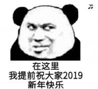 在这里，我提前祝大家2019新年快乐