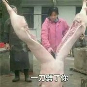 一刀劈了你（杀猪）