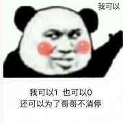 我可以1，也可以0，还可以为了哥哥不消停，我可以（熊猫头）