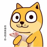 吓得我抱起了你（猪猪）