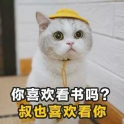 你喜欢看书吗?叔也喜欢看你