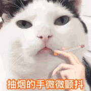 抽烟的手微微颤抖(猫咪抽烟动图)