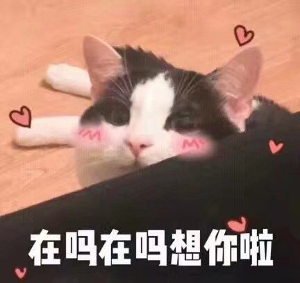 在吗想你啦